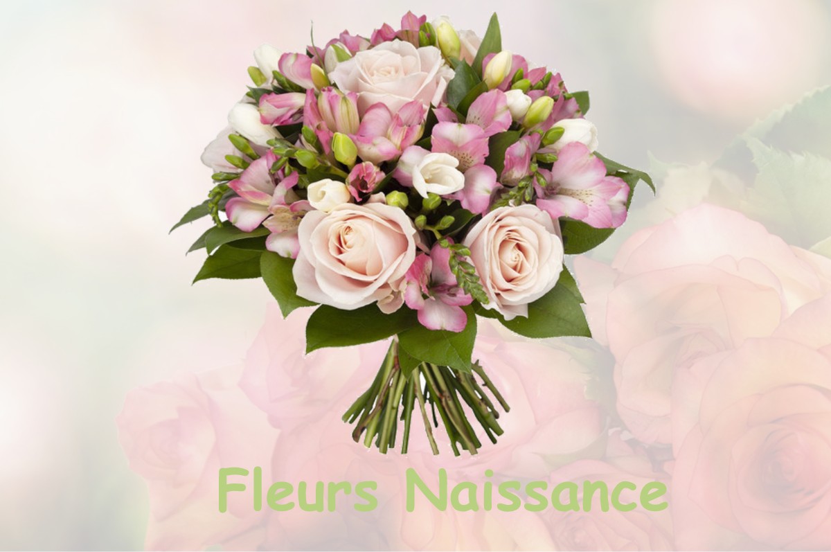 fleurs naissance MONTIGNY-SUR-L-AIN