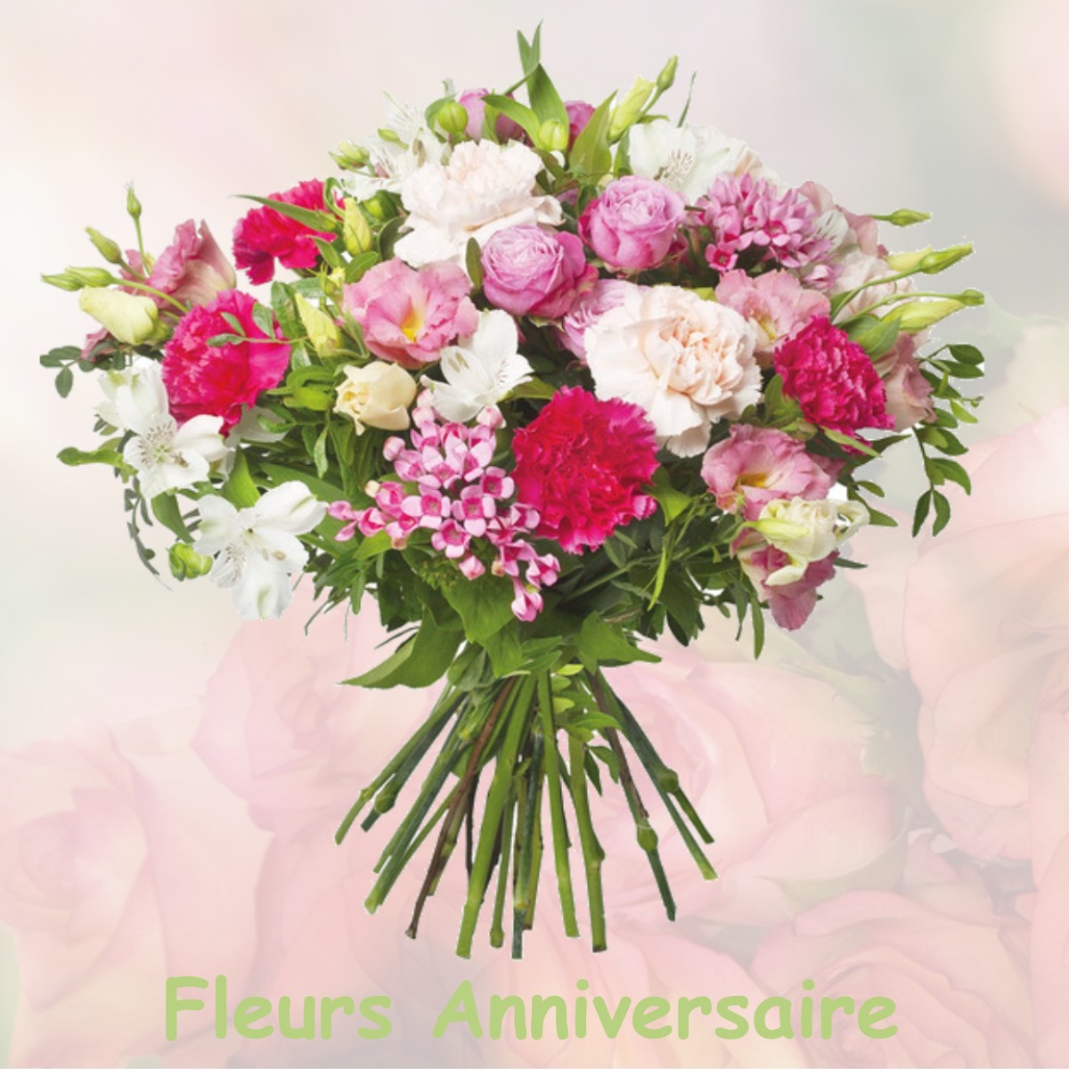 fleurs anniversaire MONTIGNY-SUR-L-AIN