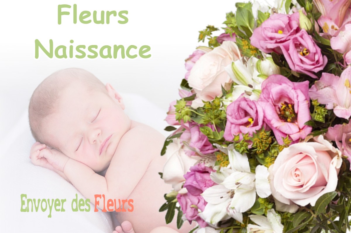 lIVRAISON FLEURS NAISSANCE à MONTIGNY-SUR-L-AIN